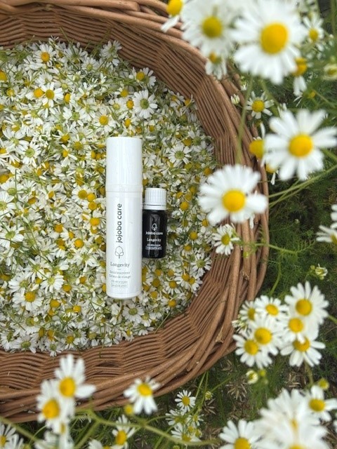 Nos produits : en harmonie avec la nature